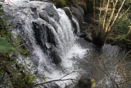 Ruta: fervenzas de Ponte (Silleda)